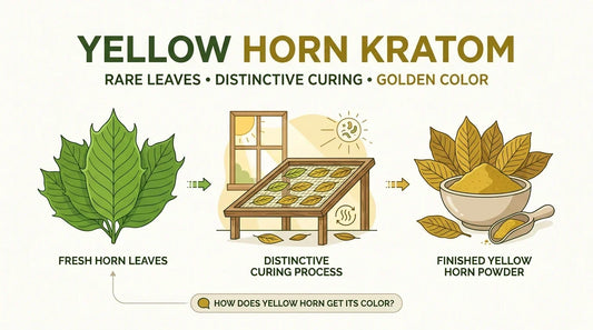 Yellow Horn Kratom