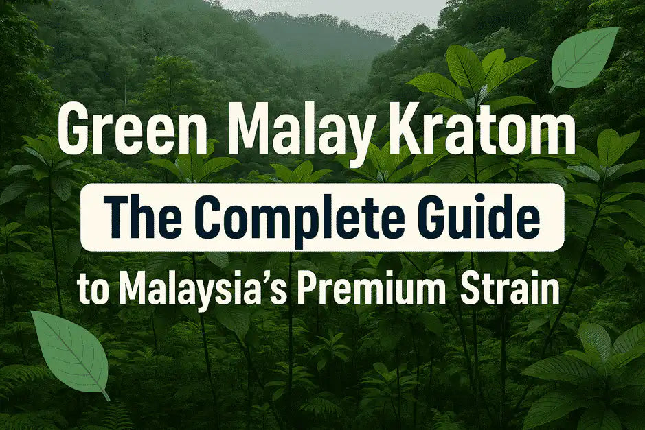 Green Malay Kratom Effects, Dosage & Benefits