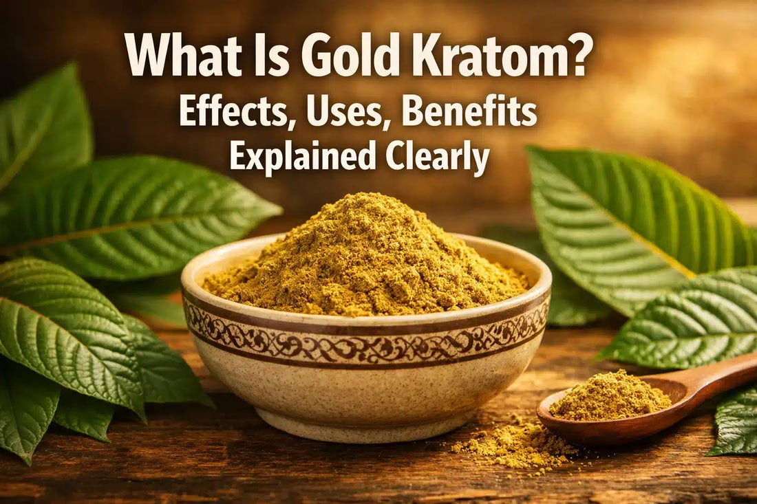 What Is Gold Kratom? Effects, Uses, Benefits Explained Clearly