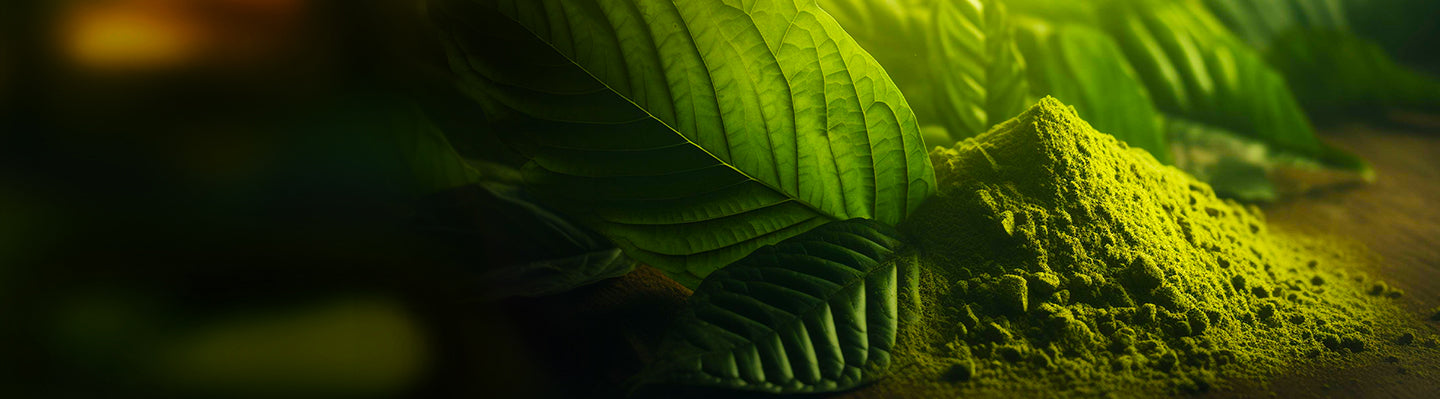 Green Kratom Powder