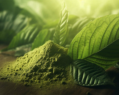 Green Hulu Kapuas Kratom Powder