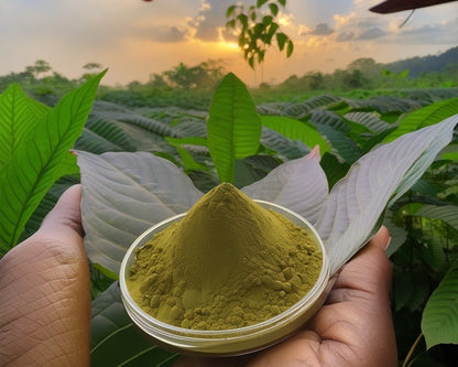 Red Elephant Kratom Powder