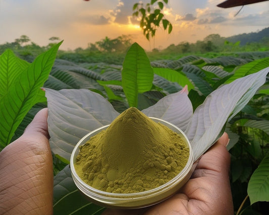 Red Elephant Kratom Powder