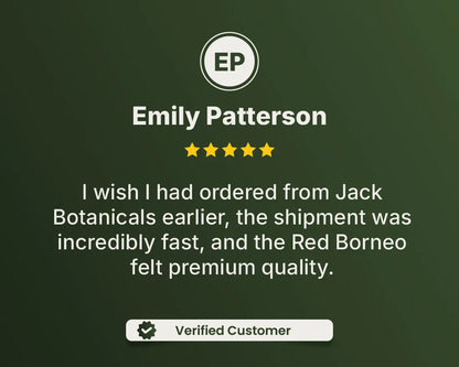Red Dragon Kratom Powder