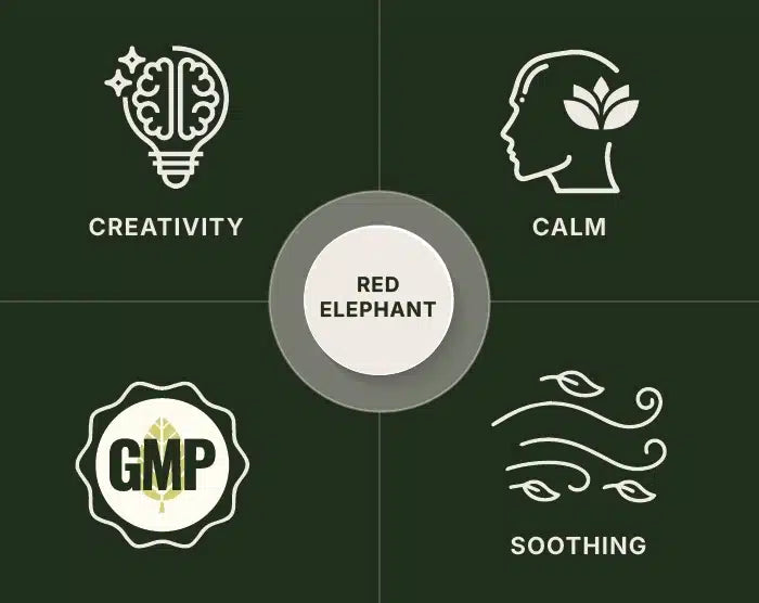 Red Elephant Kratom Powder
