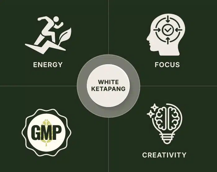 White Ketapang Kratom