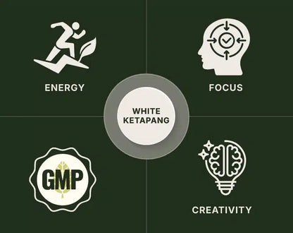 White Ketapang Kratom
