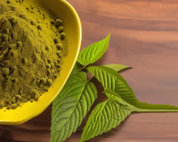 Yellow Gold Kratom Powder