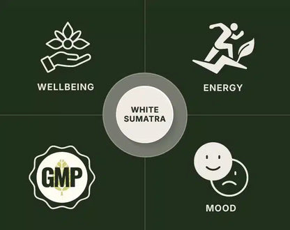 White Sumatra Kratom Powder