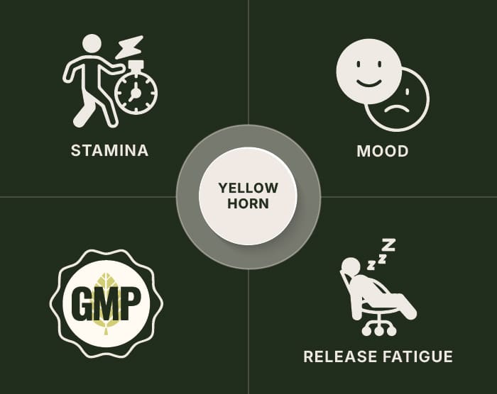 Yellow Horn Kratom Powder
