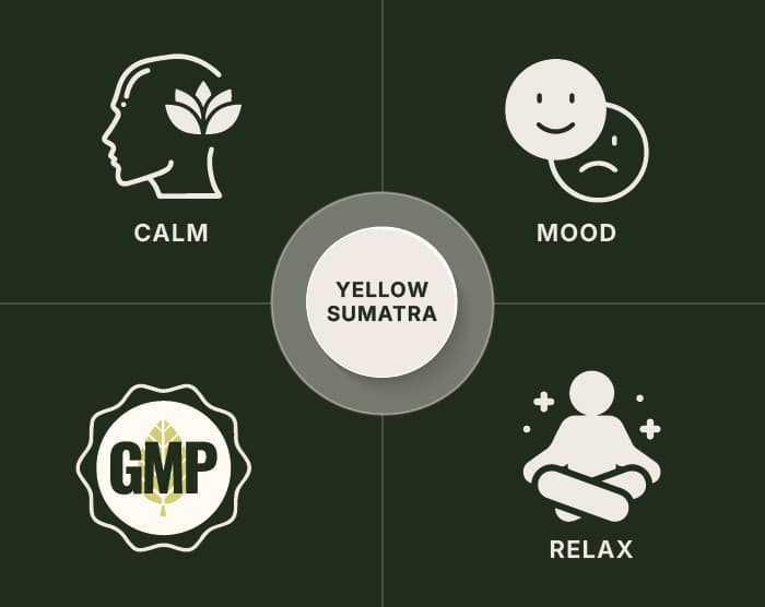 Yellow Sumatra Kratom Powder