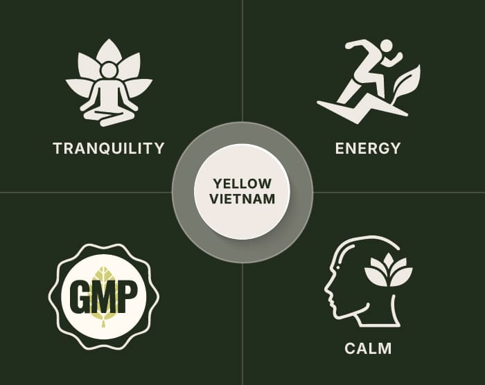 Yellow Vietnam Kratom