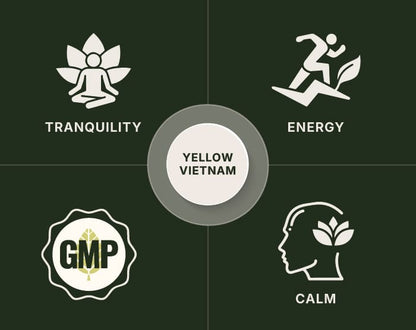 Yellow Vietnam Kratom