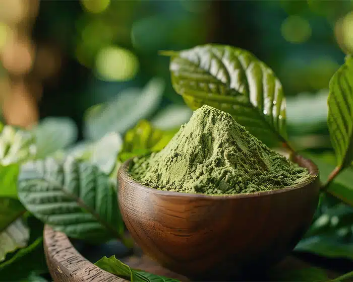 Green Borneo Kratom Powder
