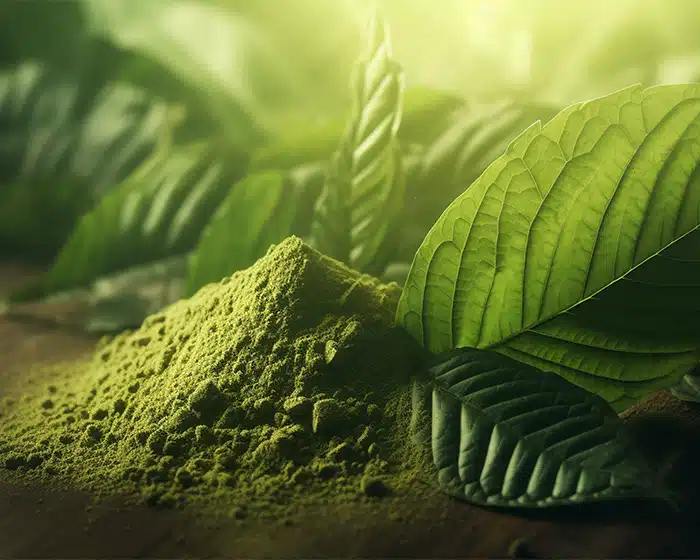 Green Hulu Kapuas Kratom Powder