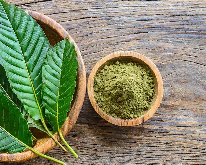 Green Vietnam Kratom Powder