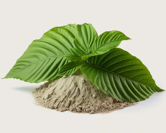Plantation White Maeng Da Kratom Powder