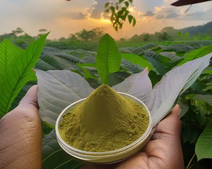Red Elephant Kratom Powder