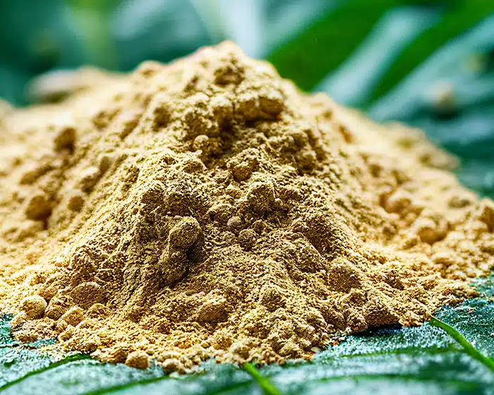 White Borneo Kratom Powder