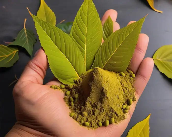 Yellow Thai Kratom