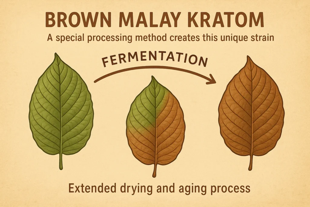 Brown Malay Kratom