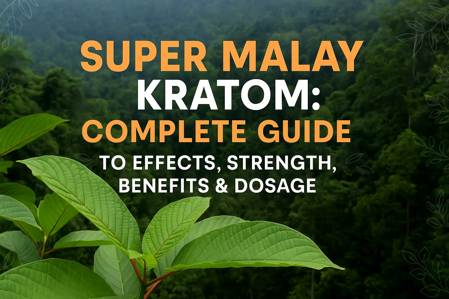 Super Malay Kratom