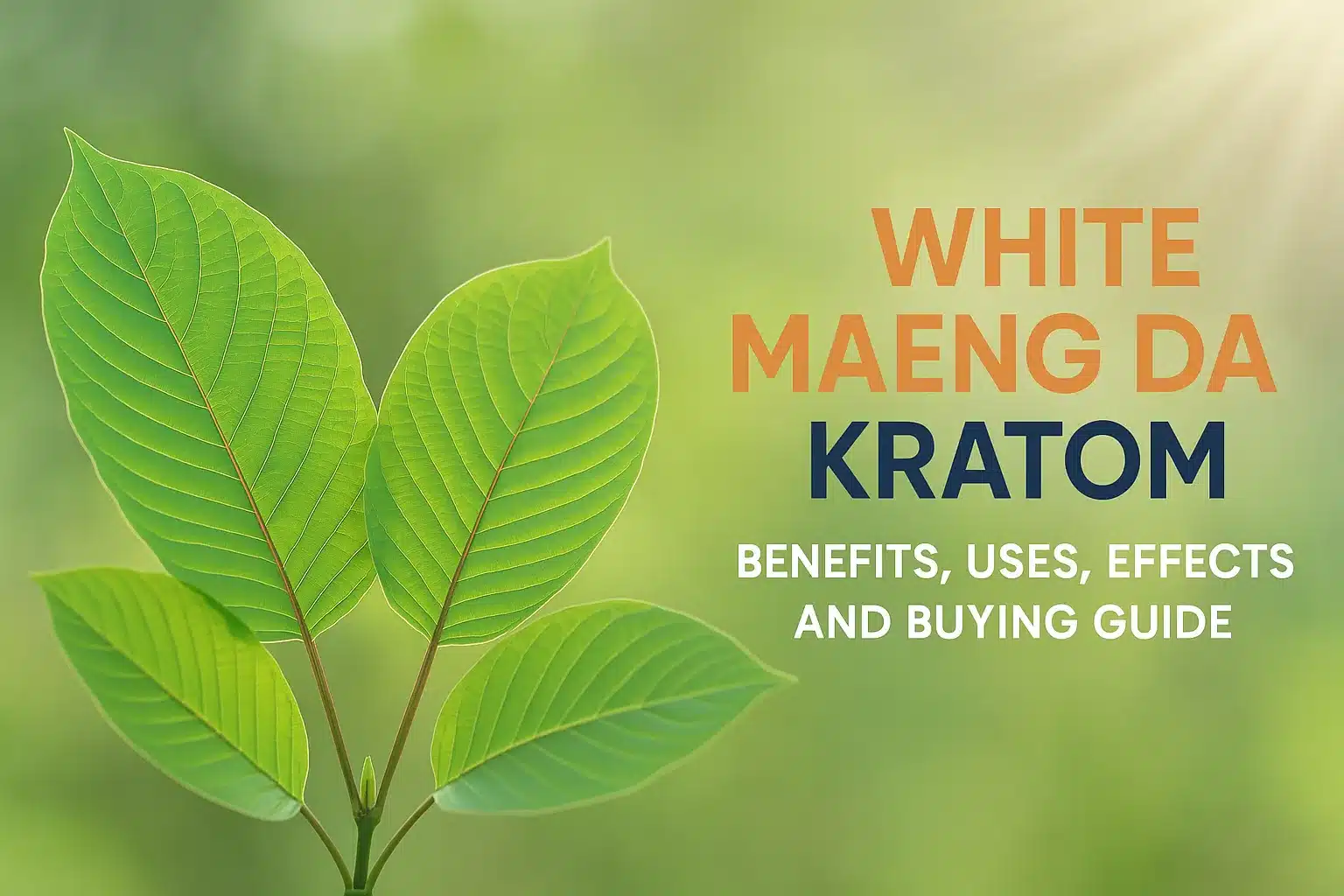 White Maeng Da Kratom