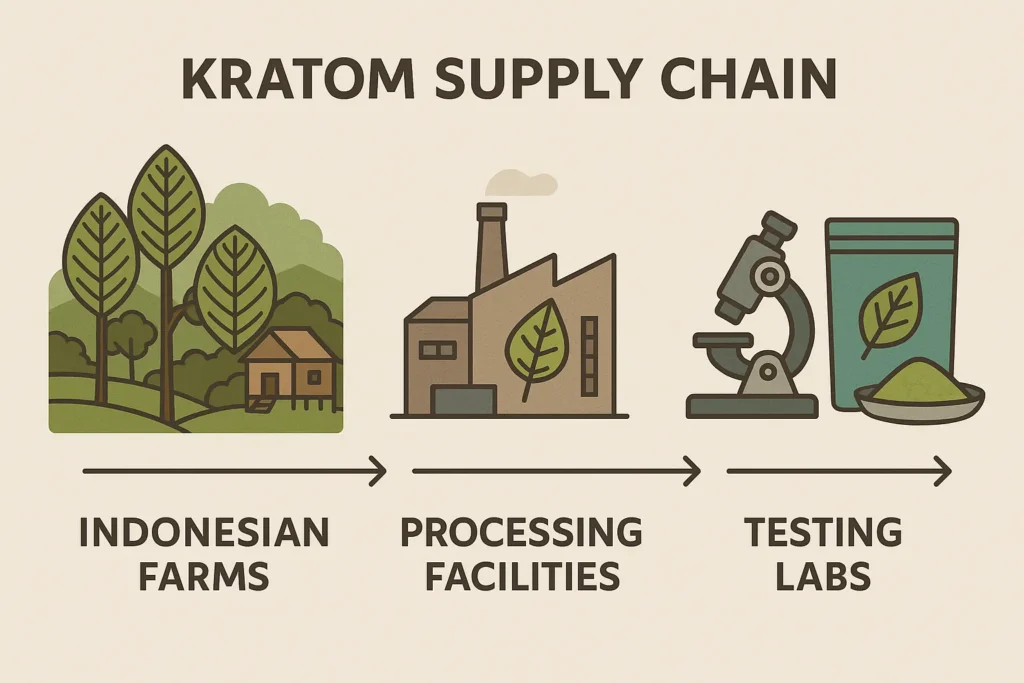 All Natural Artisan Kratom Vendor Reviews