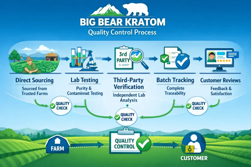 Big Bear Kratom Vendor Review and quality control process