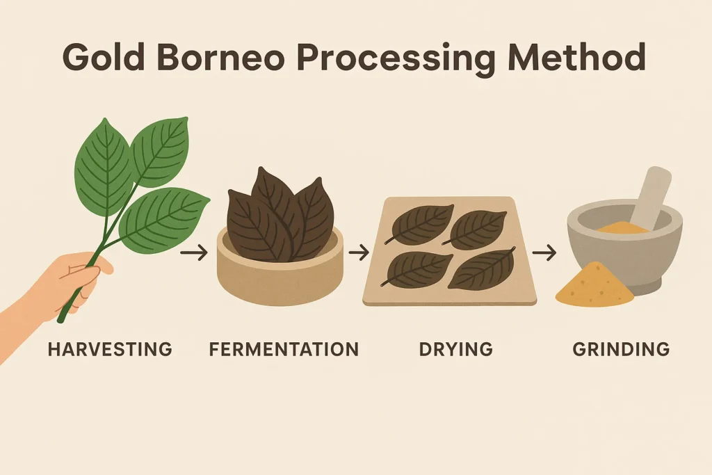 Gold Borneo Kratom Powder processing method