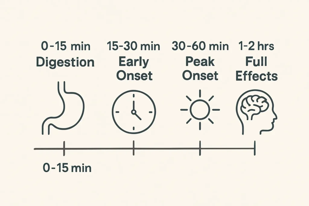 How Long For Kratom To Kick In and timeline