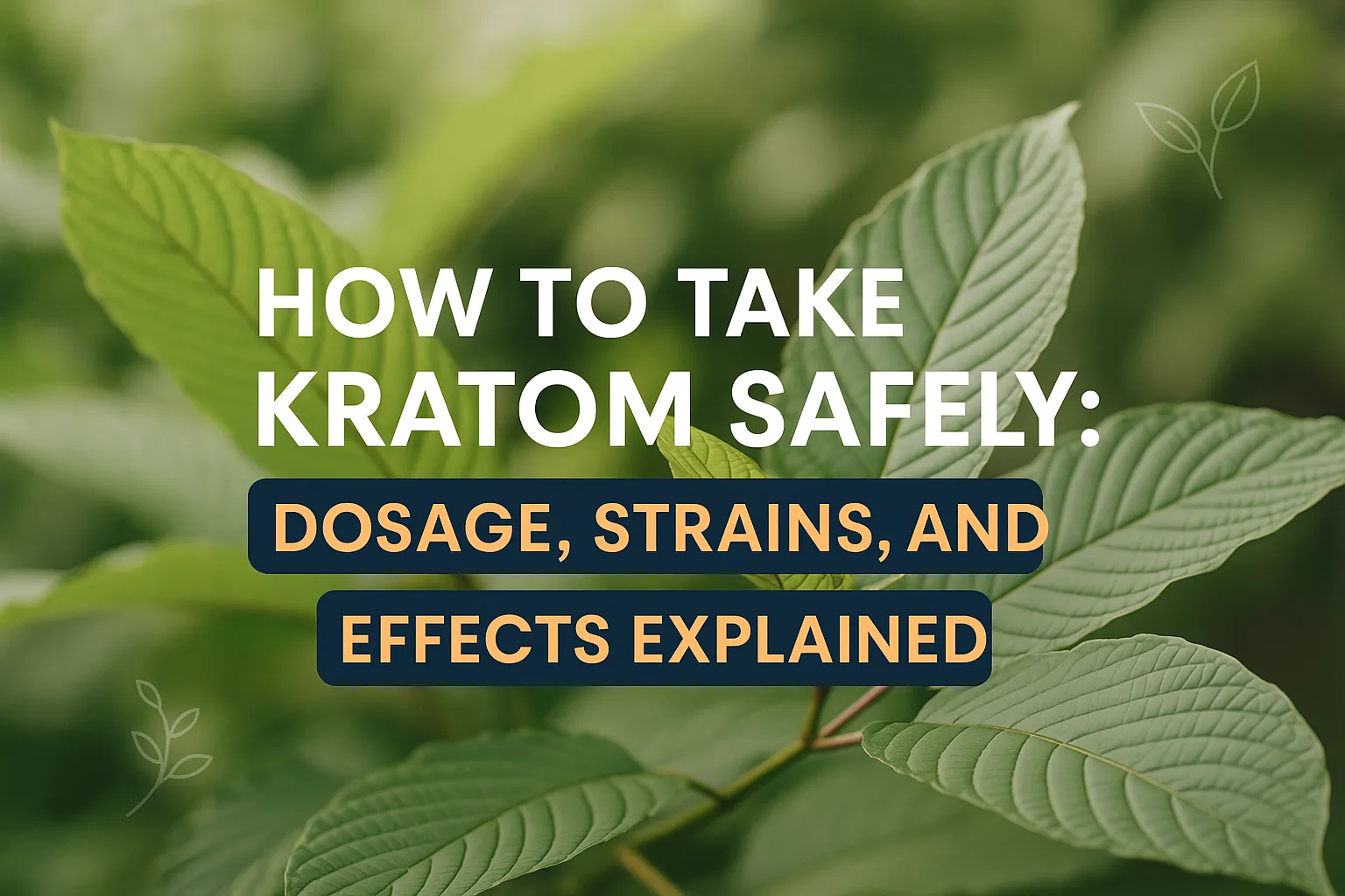 How to Take Kratom Safely
