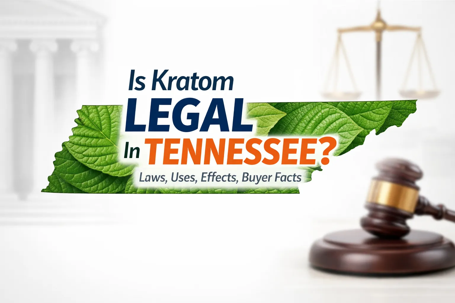 Is Kratom Legal In Tennessee