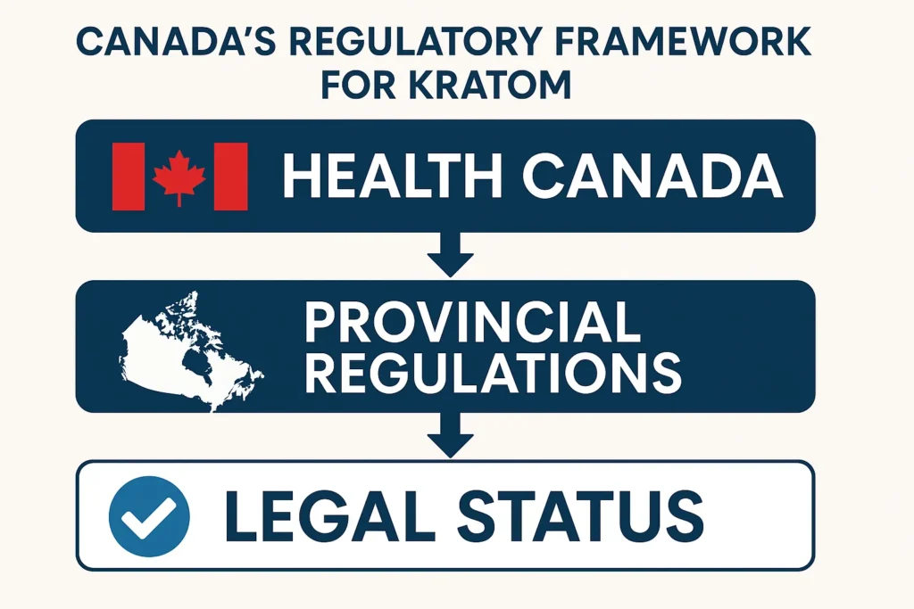 Is Kratom Legal in Canada and legal guidelines