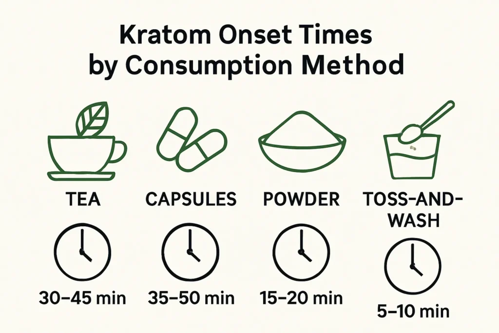 Kratom onset time