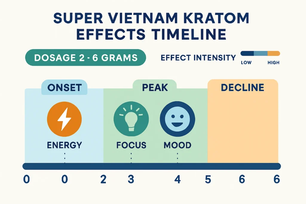 Super Vietnam Kratom effects timeline