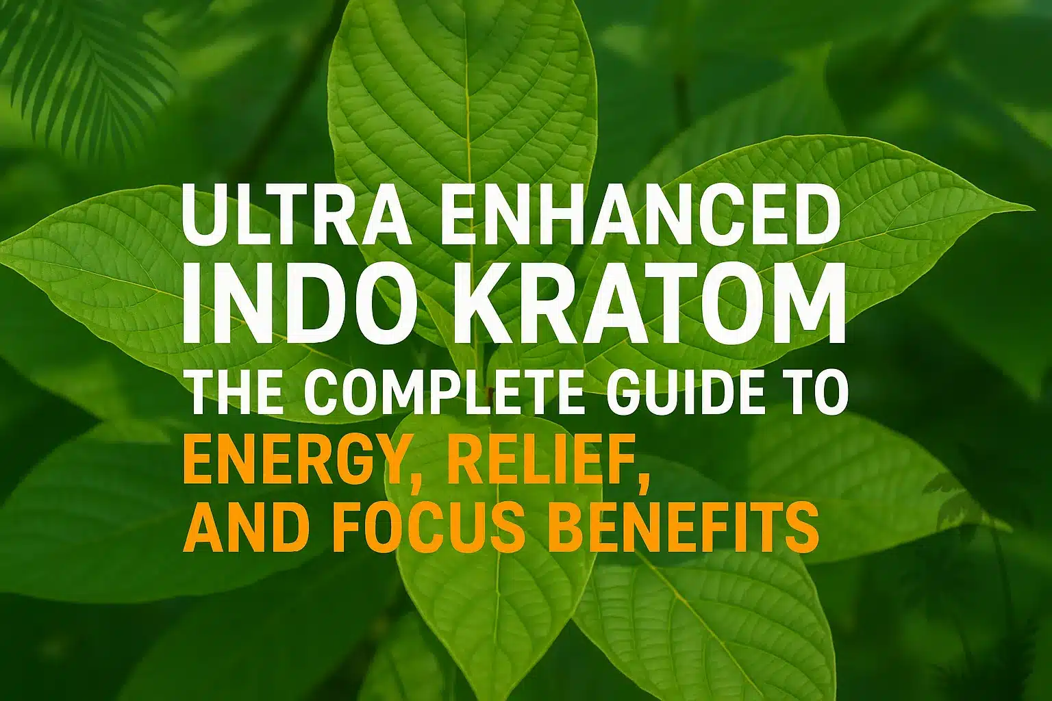 Ultra Enhanced Indo Kratom (1)