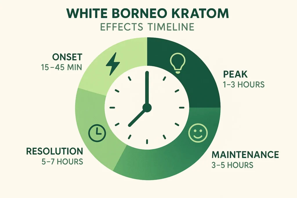 White Borneo Kratom Benefits and Effects and timeline