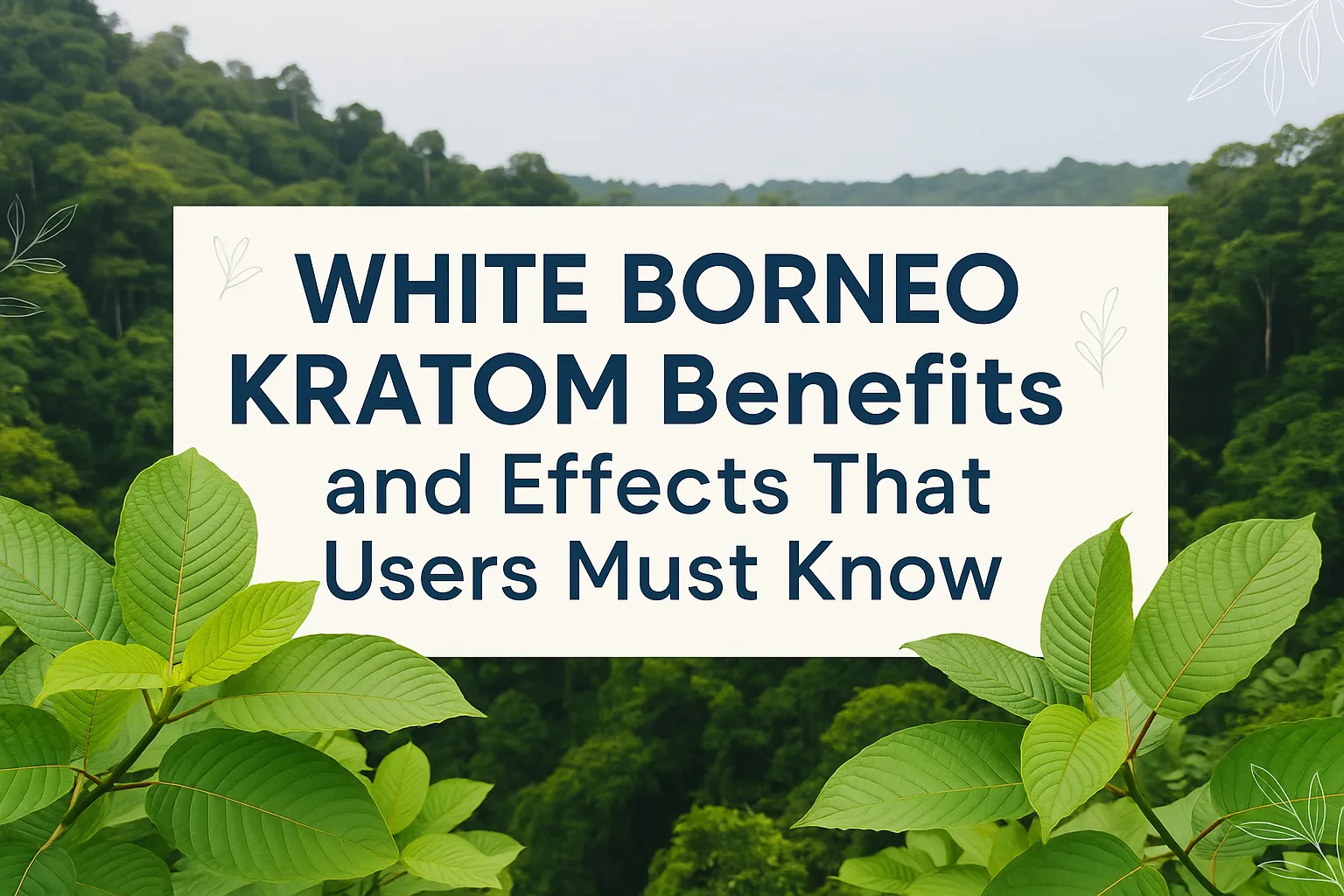 White Borneo Kratom Benefits and Effects