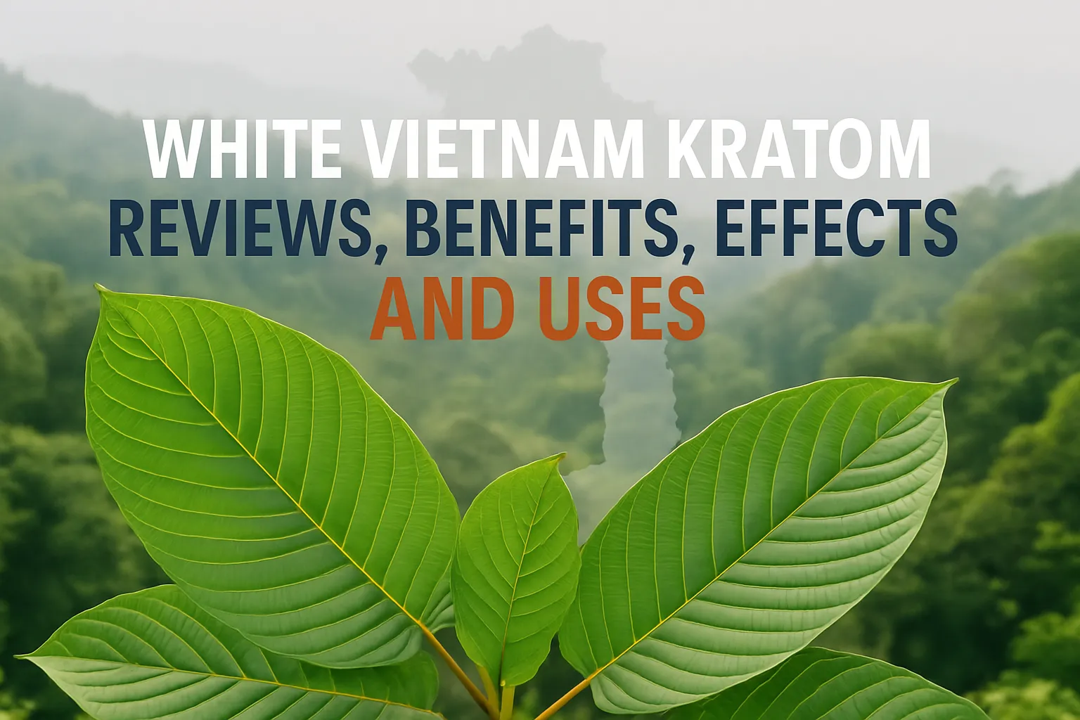 White Vietnam Kratom Reviews