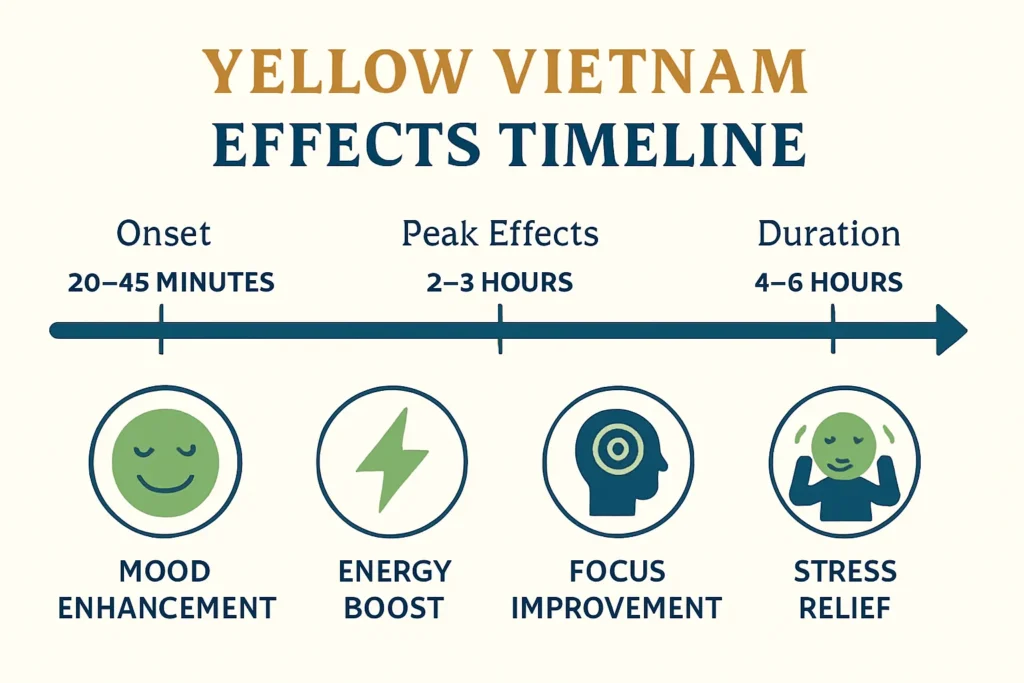 Yellow Vietnam Kratom effects timeline