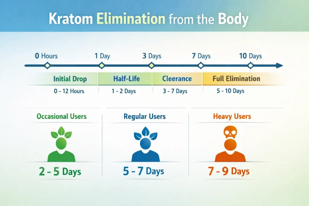 kratom elimination from the body