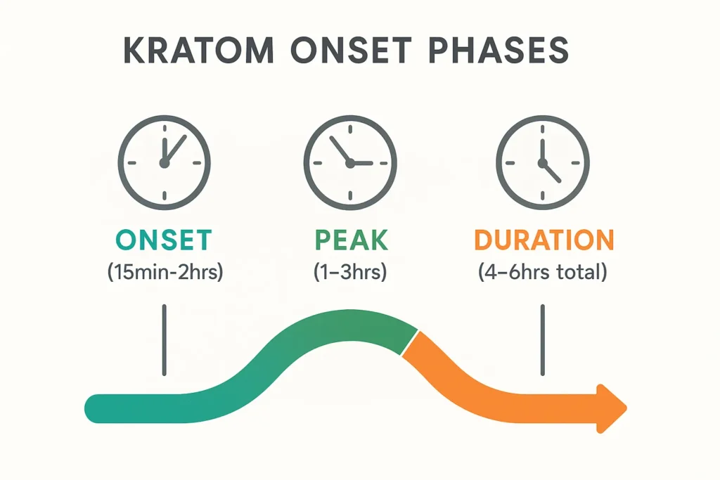 kratom onset phases