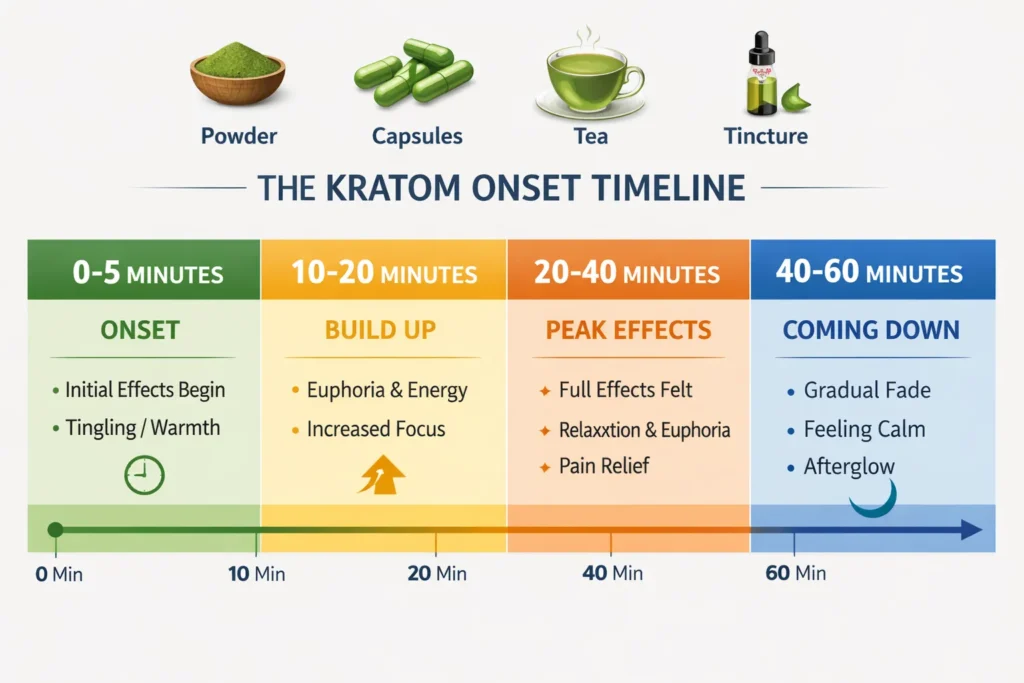 kratom onset timeline