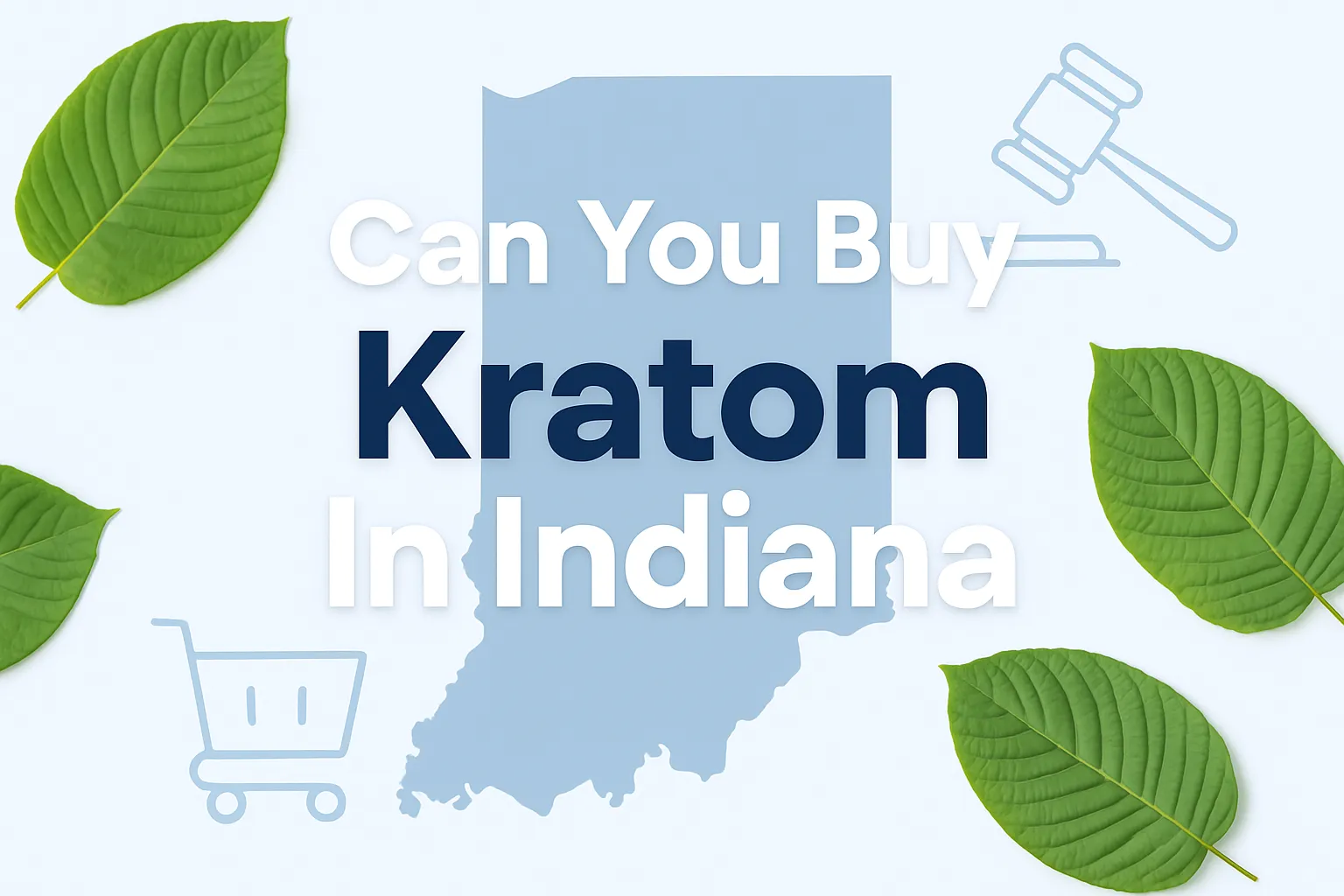 Can You Buy Kratom In Indiana