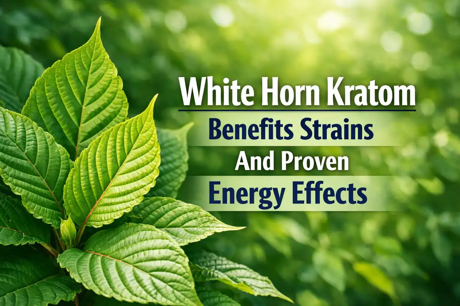 White Horn Kratom